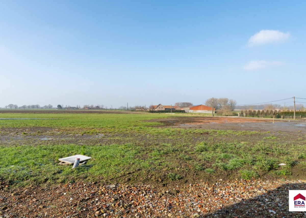 20250214 - JJ - Wingensesteenweg 128, 8700 Tielt - 17.jpg