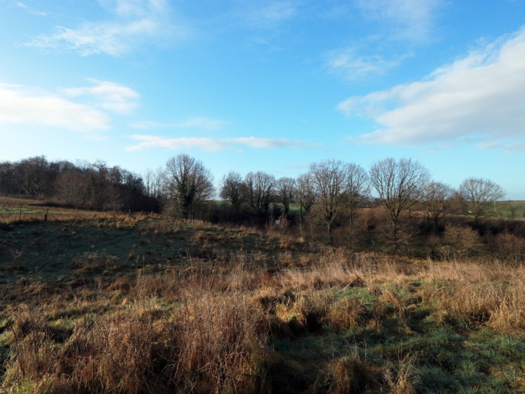 Diestsesteenweg - Papenbos - - 3390