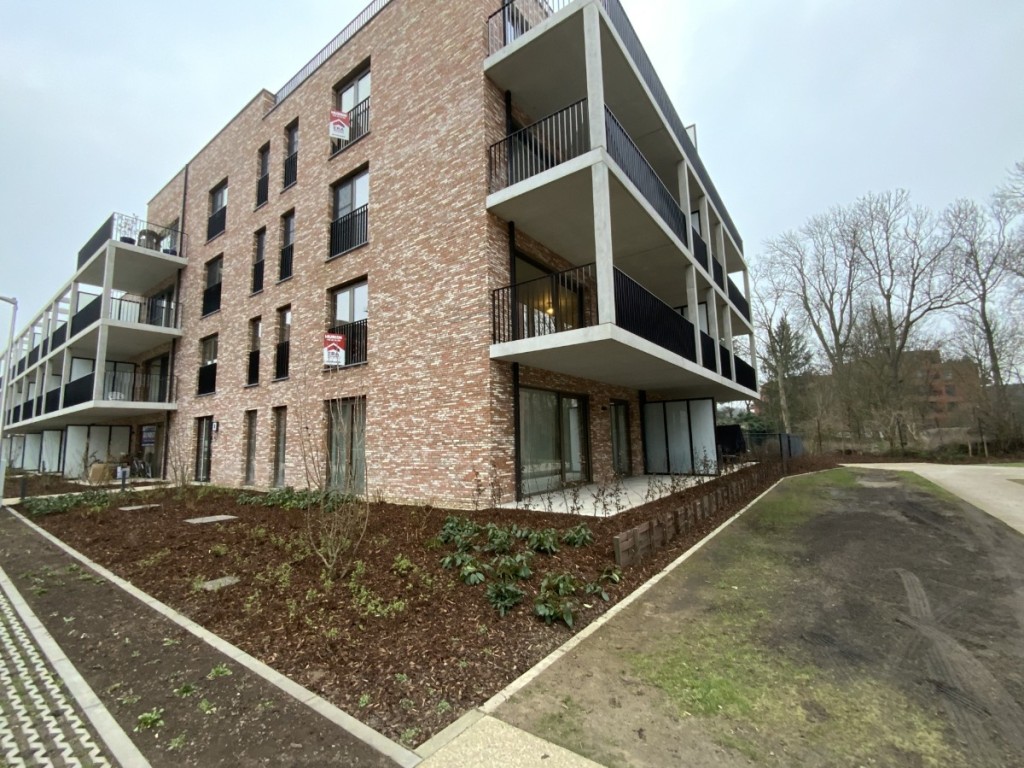 Schaluinveld - 8 - B1 - 3290