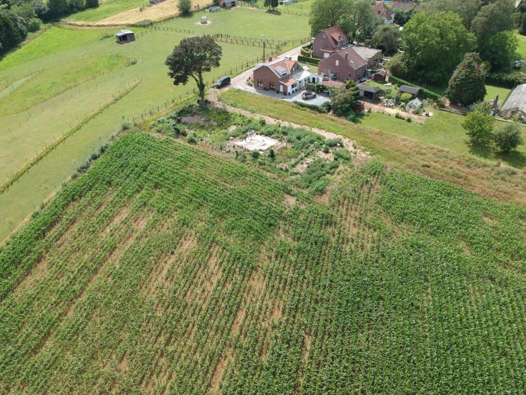 Forendijs - naast 9 - - 1560