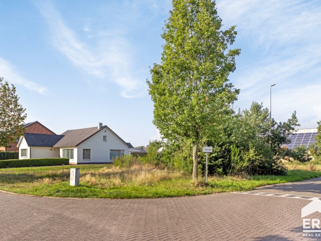 Sint-Franciscusstraat - 44 - - 3920