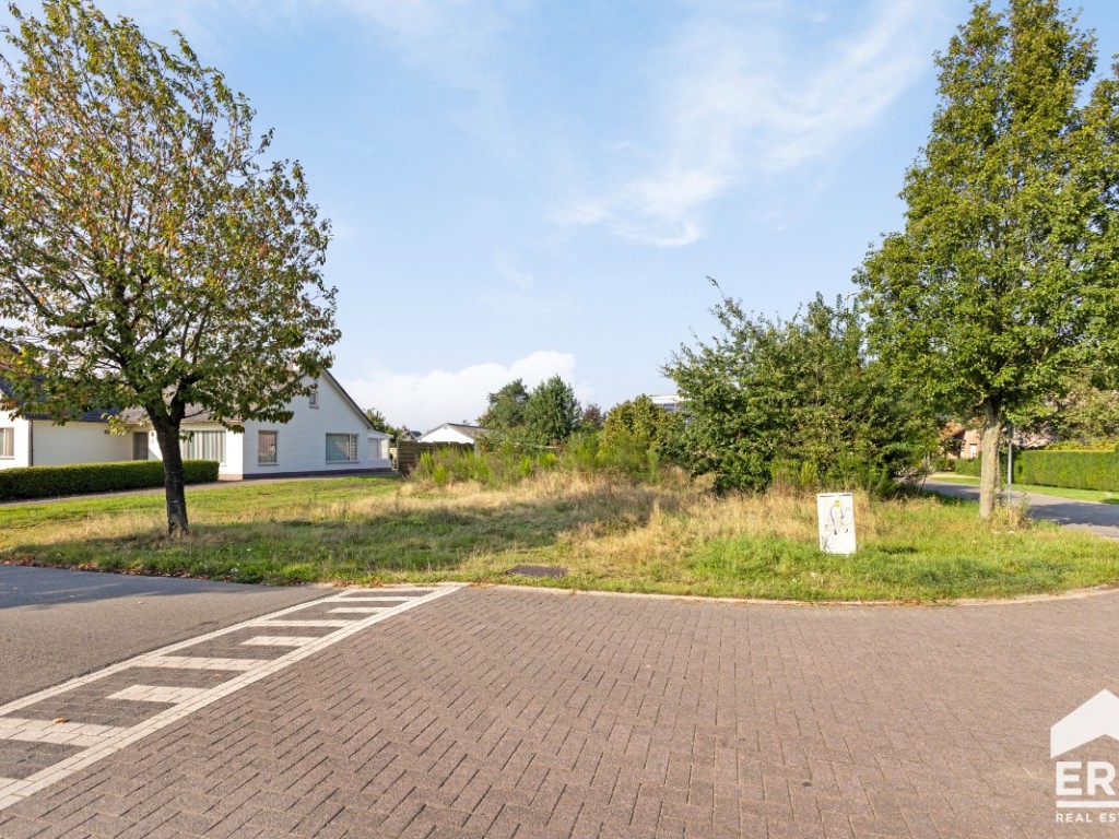 Sint-Franciscusstraat - 44 - - 3920