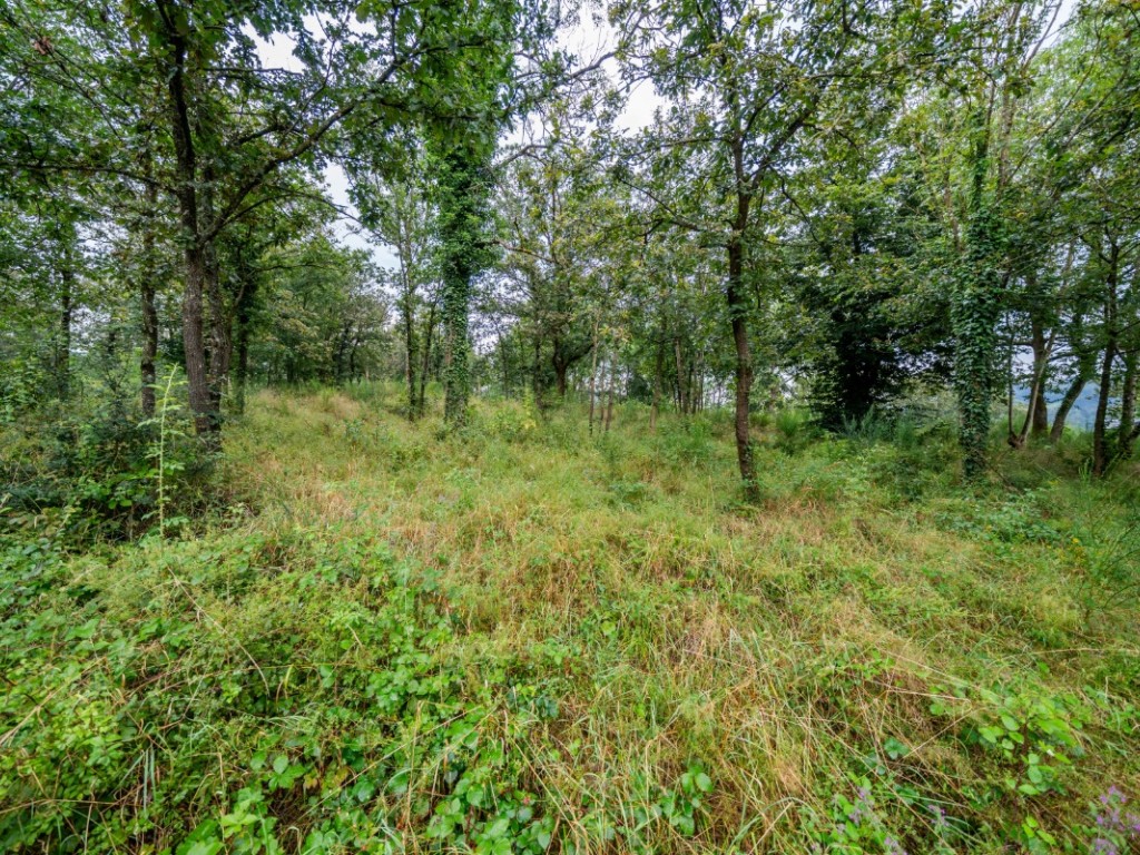 Rue des Monts - 0 Lot 2 - - 6990