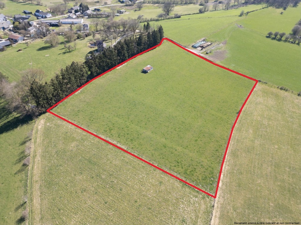 Taverneux - 0 - Lot 1 - 6661