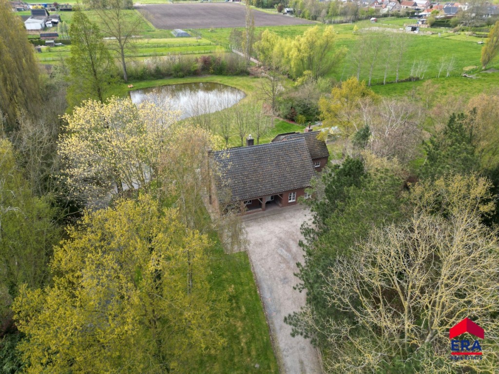 Halledreef - 17 - B - 9990