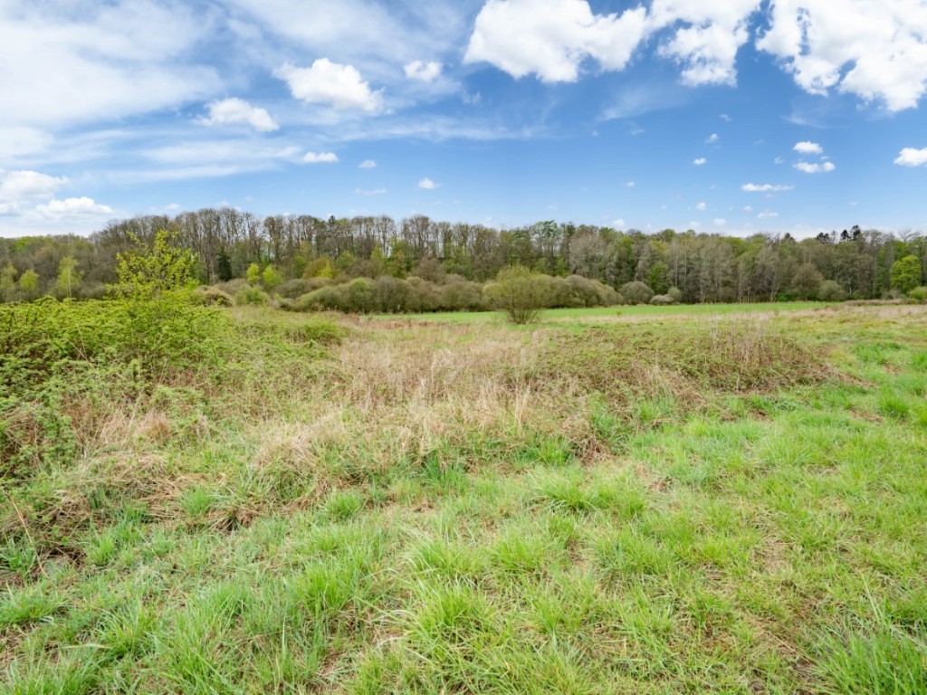 Rue du Monument - 0 - LOT 1 - 6990
