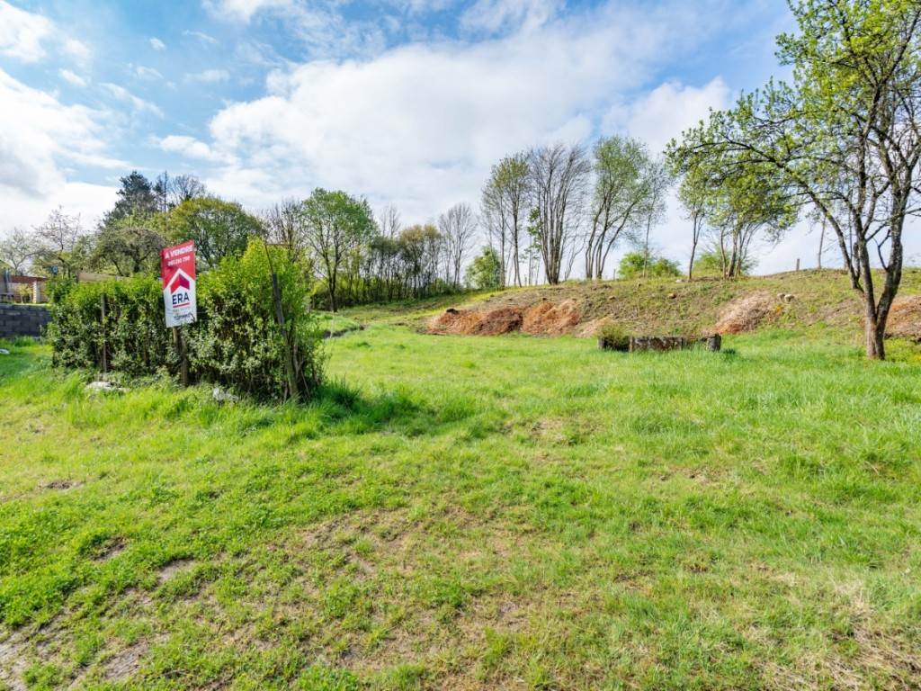 Rue de grimodé - 0 - - 6724