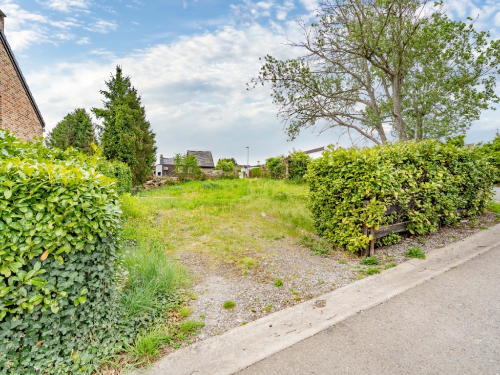 Rue des muguets - 41 - - 5377