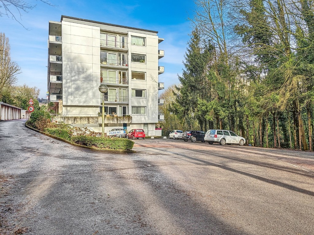 Allée des platanes - 8D - 412 - 4053