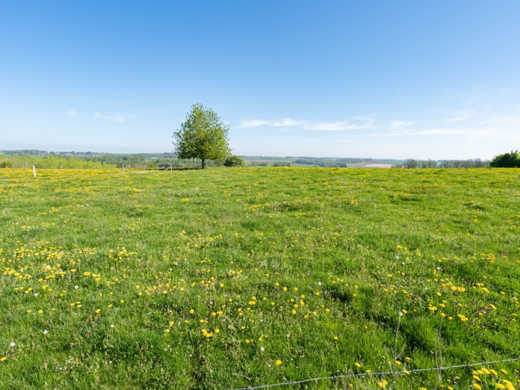Chemin de la source - 0 - - 6941