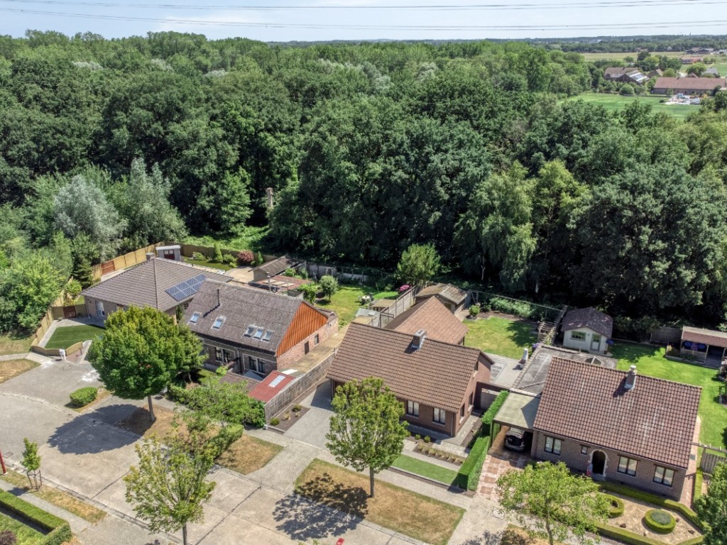 Haakveld - 43 - - 2547