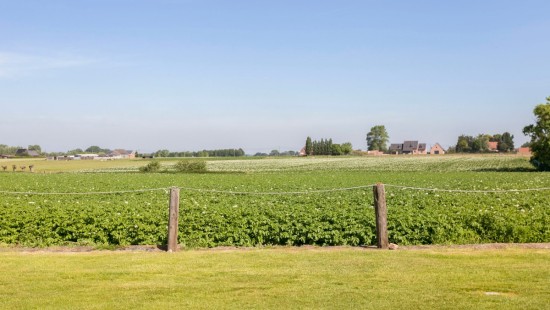 Bruggestraat - 210 - - 8750