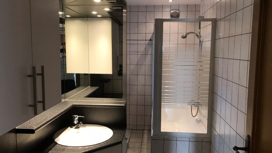 Gestelsedijk - 92 - - 3920