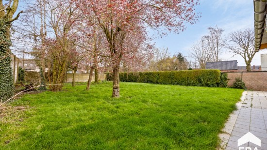 Pastoor termotestraat - 12 - - 8750