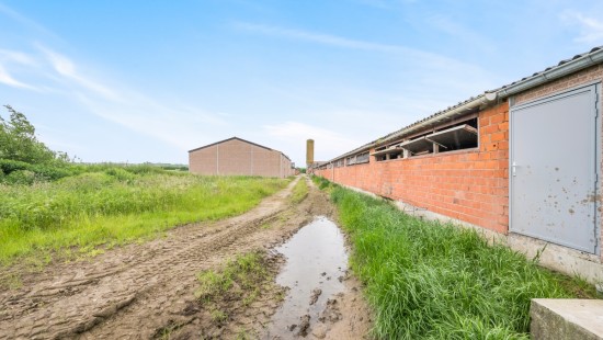 Gemenestraat - 20A - - 9130