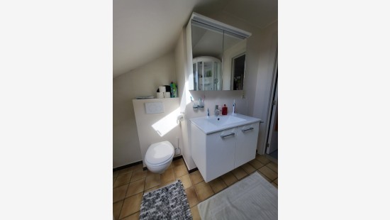 Zwarteleenstraat - 36 - 1A - 8902