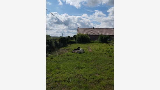 Rue de la Ligne - / - - 7387