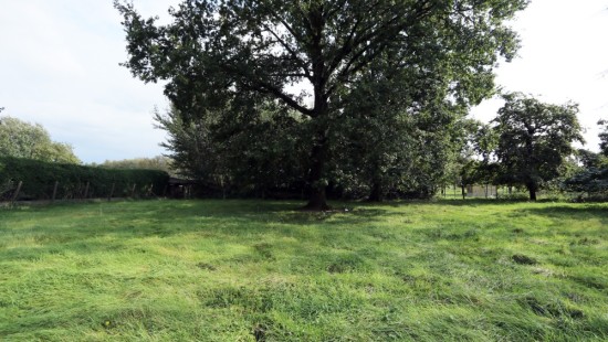 Tiensebaan - Naast 34 - LOT1 - 3461