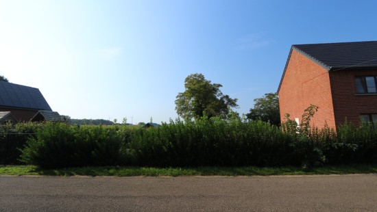 Dennenstraat - Links van - nr. 12 - 3460