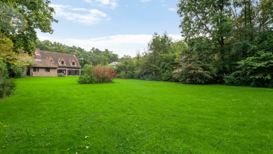 Oude Putsebaan - 50A - - 3140
