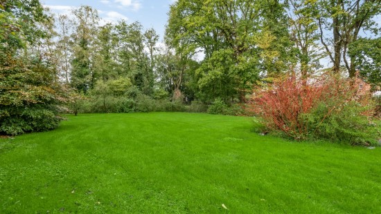 Oude Putsebaan - 50A - - 3140