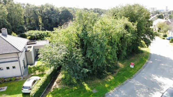 Keinkesstraat - 45 - - 3600