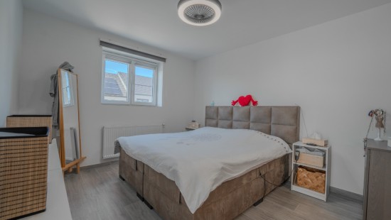 Rue Jef Ulburghs - 41 - - 4460