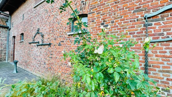 Wittepoortlaan - 31 - Loods 1 - 8940