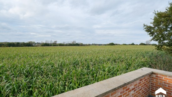 Kruisstraat - 58 - - 3590