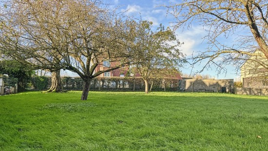 Rue du Bois - 37 - - 7866