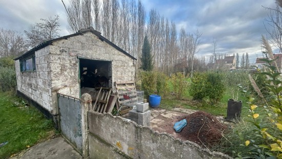 Sentier de la Gloriette - 52 - - 7783