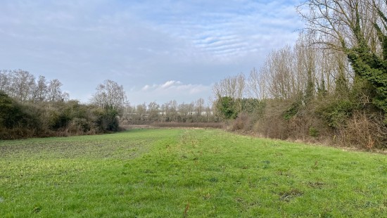 Chevauchoire de Viane - ZN - - 7864