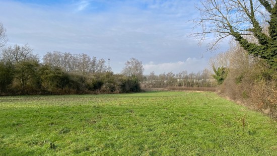 Chevauchoire de Viane - ZN - - 7864
