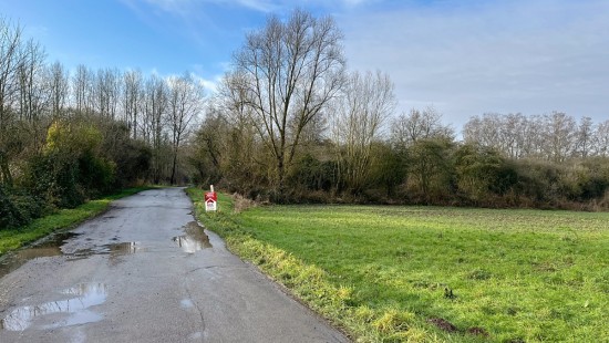 Chevauchoire de Viane - ZN - - 7864