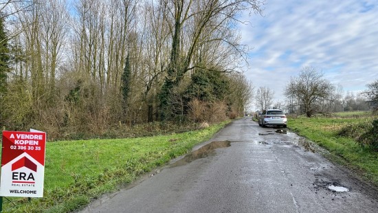 Chevauchoire de Viane - ZN - - 7864