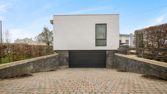 Ringlaan - 175 - - 1745