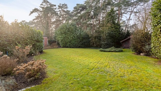 Paterstraat - 5 - - 2560