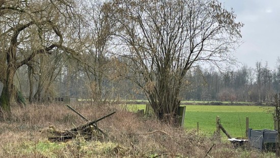 Lepelstraat - 79 - - 2290