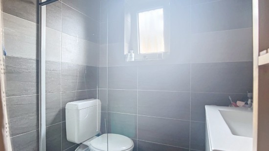 Rue de la Province - 127 - - 4100