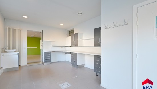 Gentse Steenweg - 223 - - 9990