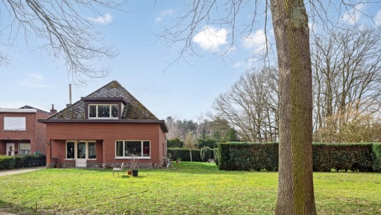 Looystraat - 5 - - 2560