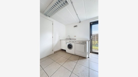 rue du doyard - 22 - - 4141