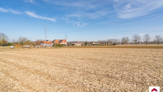 Velm - ZN - - B206/00L2 (HET ZAK) - 1730