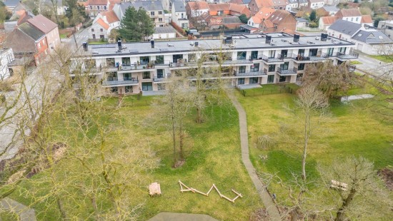 Petegemplein - 5 - 0.04 - 0.04 - 9790