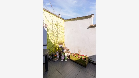 Korte Sint-Rochusstraat - 16 - - 2100