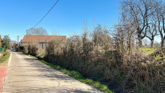 Romont - 19 - B - 1547