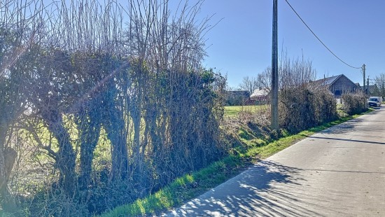 Romont - 19 - D - 1547
