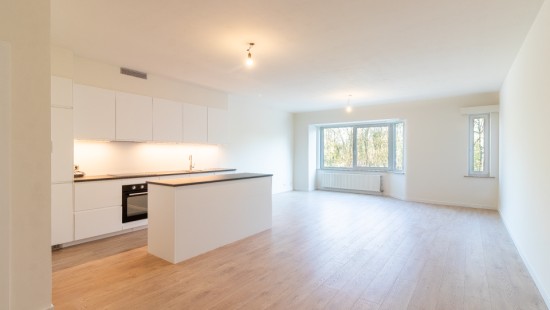 Schaliemolenstraat - 20 - - 2610