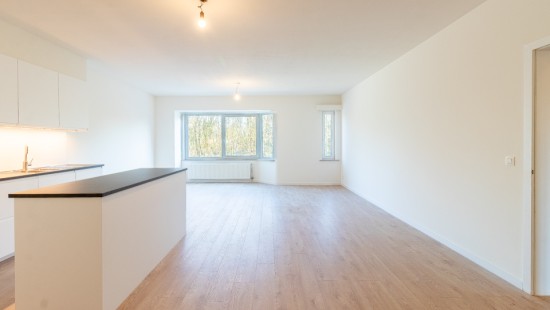 Schaliemolenstraat - 20 - - 2610