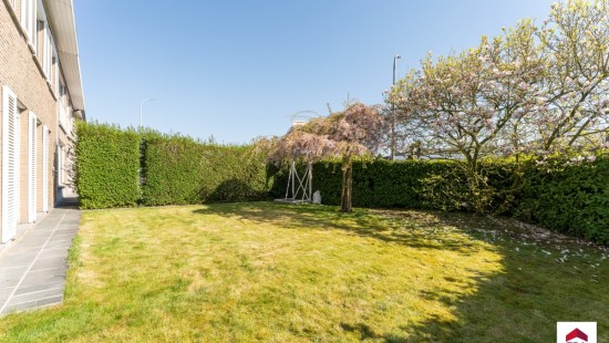 Hollandlaan - 2 - - 8700